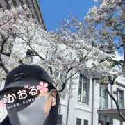 ヒメ日記 2025/04/04 14:24 投稿 カオル ドMな奥さん 日本橋店