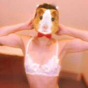 ヒメ日記 2025/09/09 18:30 投稿 カオル ドMな奥さん 日本橋店