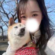 ヒメ日記 2025/03/25 17:34 投稿 明日見らな ブルーバード