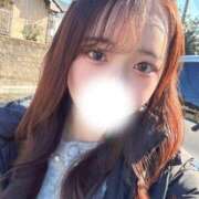 ヒメ日記 2025/04/01 03:40 投稿 明日見らな ブルーバード