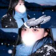 ヒメ日記 2026/02/02 02:34 投稿 明日見らな ブルーバード