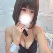 ヒメ日記 2025/02/12 14:01 投稿 みこと 極楽城(ゴクラクジョウ)