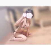 ヒメ日記 2025/04/19 07:30 投稿 みこと 極楽城(ゴクラクジョウ)