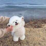 ヒメ日記 2025/05/17 00:05 投稿 れい PREMIUMー萌ー