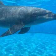 ヒメ日記 2025/05/21 20:16 投稿 あおい ミルキーラテ