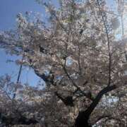 ヒメ日記 2026/04/10 20:29 投稿 あおい ミルキーラテ