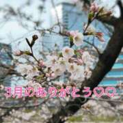 ヒメ日記 2025/04/02 10:44 投稿 西ありさ 日暮里ド淫乱倶楽部