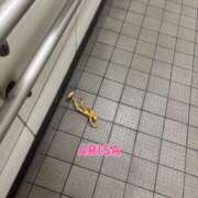 ヒメ日記 2025/06/01 07:54 投稿 西ありさ 日暮里ド淫乱倶楽部