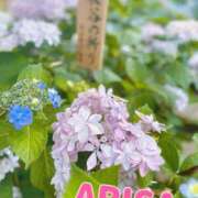 ヒメ日記 2025/07/02 08:54 投稿 西ありさ 日暮里ド淫乱倶楽部