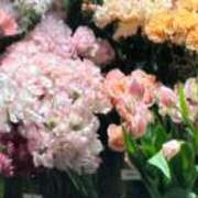 ヒメ日記 2025/01/24 18:09 投稿 ゆり Number Five 品川（シンデレラグループ）