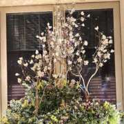 ヒメ日記 2025/01/30 20:01 投稿 ゆり Number Five 品川（シンデレラグループ）