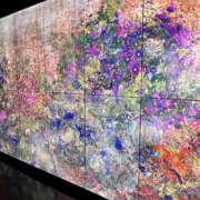 ヒメ日記 2025/03/08 15:02 投稿 ゆり Number Five 品川（シンデレラグループ）