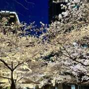 ヒメ日記 2025/04/05 18:00 投稿 ゆり Number Five 品川（シンデレラグループ）