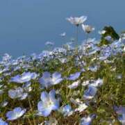 ヒメ日記 2025/05/08 18:31 投稿 ゆり Number Five 品川（シンデレラグループ）