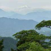 ヒメ日記 2025/05/27 19:00 投稿 ゆり Number Five 品川（シンデレラグループ）