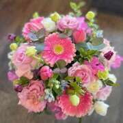 ヒメ日記 2025/05/29 19:00 投稿 ゆり Number Five 品川（シンデレラグループ）