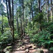 ヒメ日記 2025/06/20 18:30 投稿 ゆり Number Five 品川（シンデレラグループ）