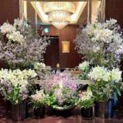 ヒメ日記 2025/07/14 20:00 投稿 ゆり Number Five 品川（シンデレラグループ）