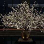 ヒメ日記 2025/07/24 19:45 投稿 ゆり Number Five 品川（シンデレラグループ）