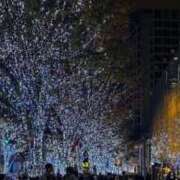 ヒメ日記 2025/12/12 15:01 投稿 ゆり Number Five 品川（シンデレラグループ）