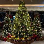 ヒメ日記 2025/12/19 22:01 投稿 ゆり Number Five 品川（シンデレラグループ）