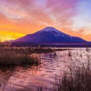 ヒメ日記 2025/12/28 16:30 投稿 ゆり Number Five 品川（シンデレラグループ）