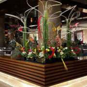 ヒメ日記 2025/12/30 16:00 投稿 ゆり Number Five 品川（シンデレラグループ）