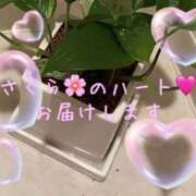 ヒメ日記 2025/02/14 14:35 投稿 朱音さくら 日暮里ド淫乱倶楽部