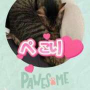 ヒメ日記 2025/03/12 13:04 投稿 朱音さくら 日暮里ド淫乱倶楽部