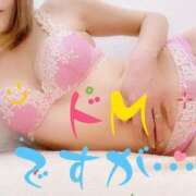 ヒメ日記 2025/03/31 13:44 投稿 朱音さくら 日暮里ド淫乱倶楽部