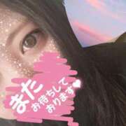 ヒメ日記 2025/03/06 12:04 投稿 うた 沖縄ちゃんこ那覇店