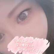 ヒメ日記 2025/03/09 04:04 投稿 うた 沖縄ちゃんこ那覇店