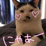 ヒメ日記 2025/04/10 05:47 投稿 みなみ マリン宮殿水戸店