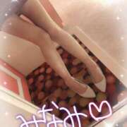 ヒメ日記 2025/04/26 16:24 投稿 みなみ マリン宮殿水戸店