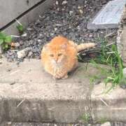 ヒメ日記 2025/07/04 11:04 投稿 みなみ マリン宮殿水戸店