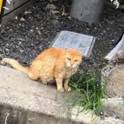 ヒメ日記 2025/07/08 06:54 投稿 みなみ マリン宮殿水戸店