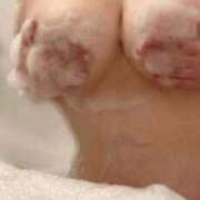 ヒメ日記 2025/05/18 22:11 投稿 ちゃみ LEVEL1