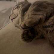 ヒメ日記 2025/01/30 21:01 投稿 くろい ホワイトハウス