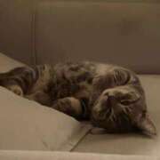 ヒメ日記 2025/02/04 12:41 投稿 くろい ホワイトハウス