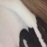 ヒメ日記 2025/07/11 05:19 投稿 北山しずく Hybrid Esthe TBR Hiroo