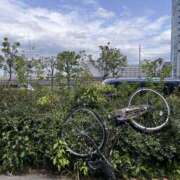 ヒメ日記 2026/03/23 03:41 投稿 ＊あおい＊ Cheers(チアーズ)