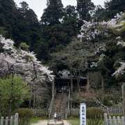 ヒメ日記 2026/04/28 20:02 投稿 ＊あおい＊ Cheers(チアーズ)