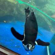 ヒメ日記 2025/09/19 16:45 投稿 本条　アスカ タッチVIP