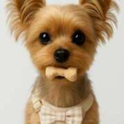 ヒメ日記 2025/11/04 16:33 投稿 本条　アスカ タッチVIP