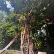 ヒメ日記 2025/12/15 17:03 投稿 本条　アスカ タッチVIP