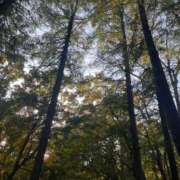 ヒメ日記 2026/01/08 17:27 投稿 本条　アスカ タッチVIP