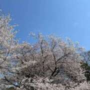 ヒメ日記 2025/04/06 19:18 投稿 にこ 妻天 梅田店