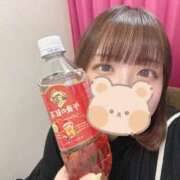 ヒメ日記 2025/02/19 00:53 投稿 くるみ 池袋ぱんぷきん（シンデレラグループ）