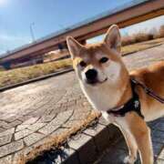 ヒメ日記 2025/02/23 10:01 投稿 くるみ 池袋ぱんぷきん（シンデレラグループ）