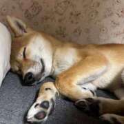 ヒメ日記 2025/03/07 20:28 投稿 くるみ 池袋ぱんぷきん（シンデレラグループ）